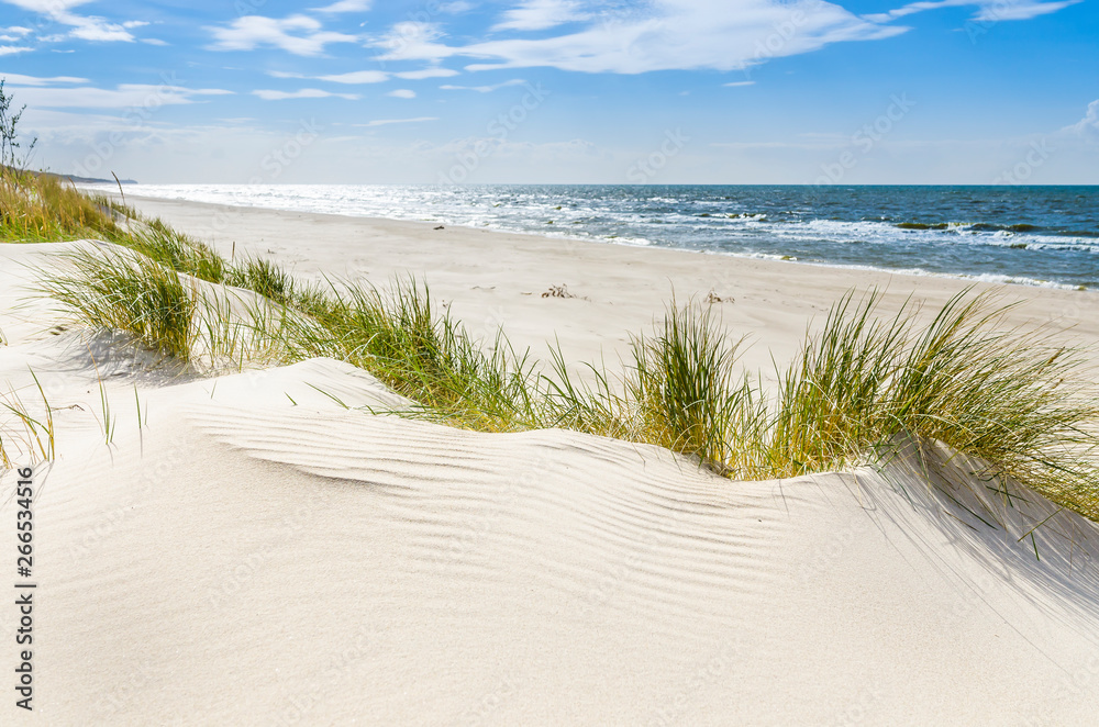 Obraz na płótnie przedstawiający dziką plażę koło Mrzeżyna nad Bałtykiem, idealny do wnętrz skandynawskich i naturalnych, z widokiem na wydmy i spokojne morze.