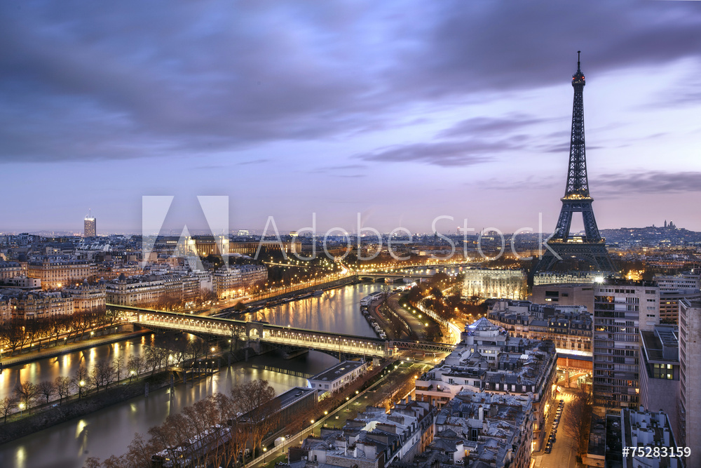 Obraz na płótnie panorama Paryża z wieżą Eiffla | fotoobraz w salonie