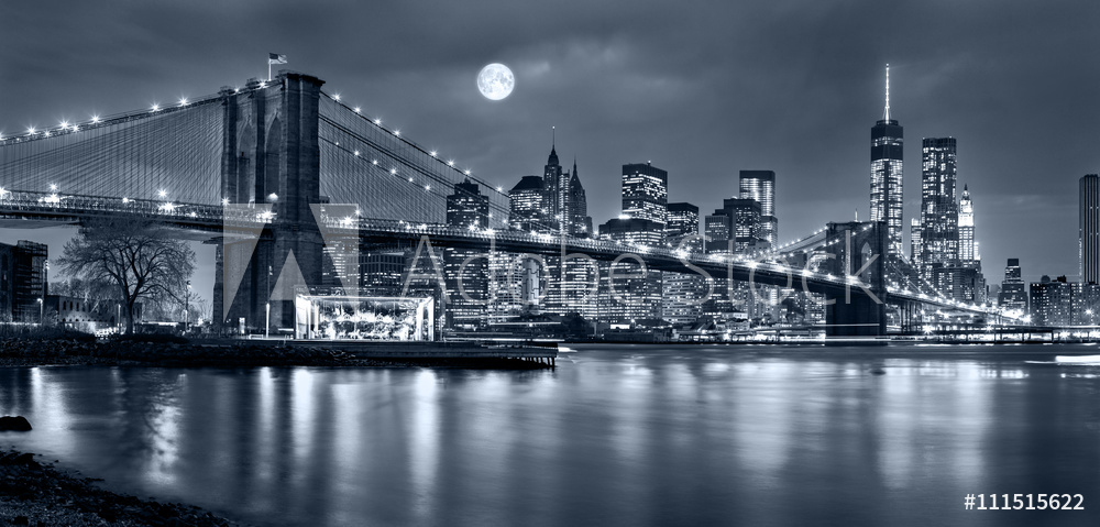 Obraz na płótnie Nocna panorama Nowego Jorku w salonie