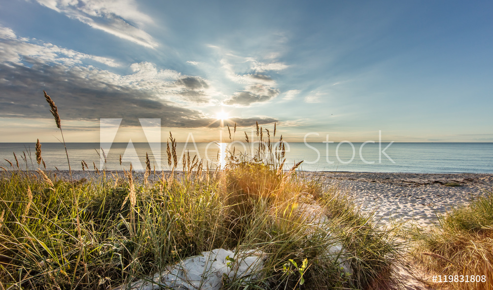 Obraz na płótnie Dzika plaża nad Bałtykiem | fotoobraz w salonie