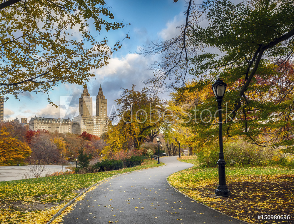 Obraz na płótnie Central Park późną jesienią w salonie