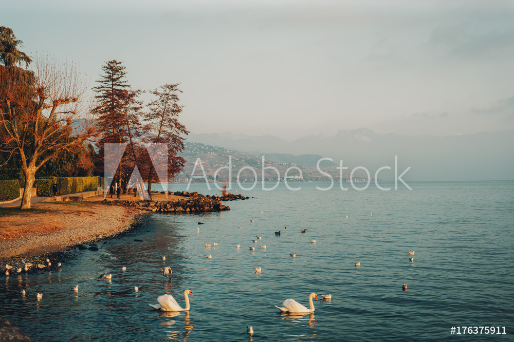 Obraz na płótnie Jezioro Genewskie zimą | fotoobraz w salonie